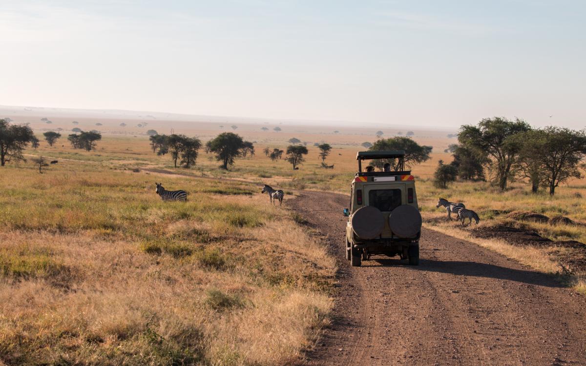 5 popular wildlife safari destinations